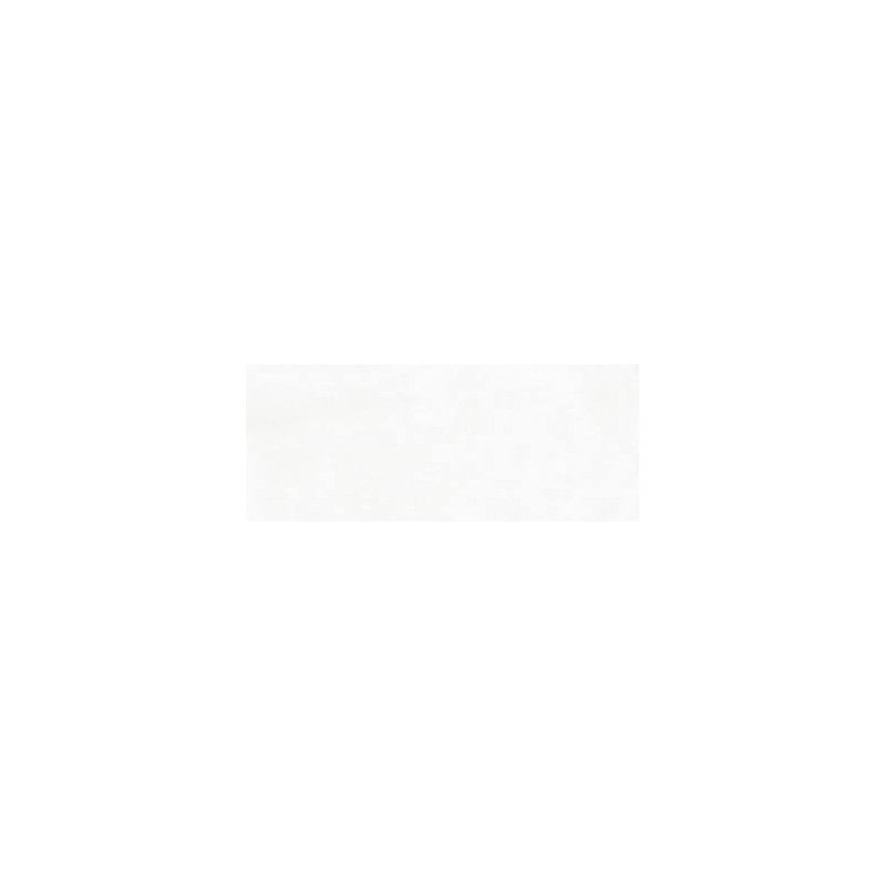 REPLACE BIANCO 20X50 - RAGNO R3QN RAGNO  - 1