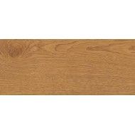 Exence Amber 18,5x150 - Atlas Concorde CERAMICHE ATLAS CONCORDE - 1