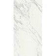 IMPERIALE VENATO GLOSSY 58X116 - RAGNO R710 RAGNO  - 1