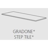 REALSTONE SLATE XT20 40x80  IRON GRADONE - RAGNO R69C RAGNO  - 1