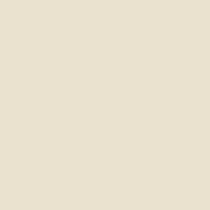 UNITECH BEIGE 20x20 - RAGNO R1NJ RAGNO  - 1