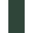 CRAYONS OF CERIM  MOSS NATURALE 6MM 120X120 REKTIFIZIERT  - CERIM 767254
