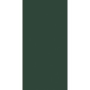 CRAYONS OF CERIM  MOSS NATURALE 6MM 60X120 AJUSTEE  - CERIM 767268