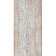 MOON  NATURALE STRUKTURIERT MATT  REKTIFIZIERT   Argento 60x120 - LEONARDO MOON C 12AG RM LEONARDO CERAMICA - 1