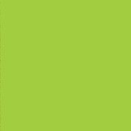 ENDLESS  GLOSSY  REKTIFIZIERT  Verde 120x120 - LEONARDO ENDL TU120V LLL LEONARDO CERAMICA - 1