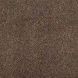 PORFIRICA BROWN 75X75 REKTIFIZIERT  - COEM 0PO758R COEM - 1
