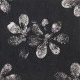 CHYMIA OPHELIA BLACK 30X30 - MUTINA GAC25 01 MUTINA - 1