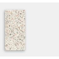 VENICE VILLA venice pink Poliert Rektifiziert 120X60 - FMG IRIS L62414