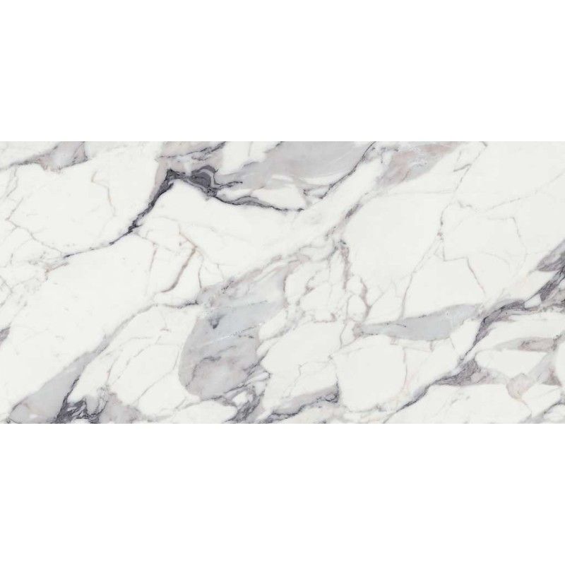 LES ORIGINES DE REX ARGENT GLOSSY 60X60 RETTIFICATO  - Rex Ceramiche 769843 FLORIM LUXURY DESIGN - 1