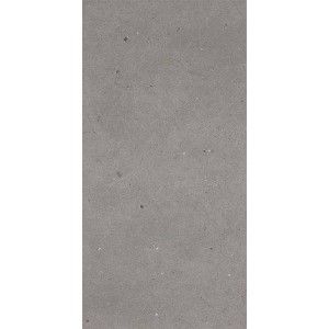 FJORD 120X60 GREY FJORD STRUCTUREE 11MM - Graniti Fiandre AP209X1164R11 GRANITI FIANDRE - 1