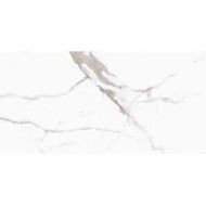 INCANTO  STATUARIO 60X60 VENATO AJUSTEE - RAGNO R8ZU RAGNO  - 1