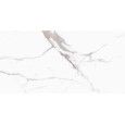 INCANTO  STATUARIO 60X60 VENATO AJUSTEE - RAGNO R8ZU RAGNO  - 1
