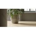 IL VENEZIANO 120X120 SEMINATO MIELE POLISHED 10M - Graniti Fiandre AL243X10120 GRANITI FIANDRE - 1