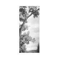 GRANDE RESIN LOOK GRISAILLE B SILKY 120X278cm - MARAZZI MA01 MARAZZI  - 1