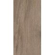 BOIS URBAIN 90X22,5 TERRE STRUKTURIERT R11 - Graniti Fiandre AS223X1122R11