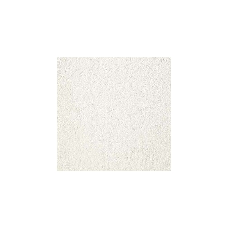 JUST GREY 60X60 SUPER WHITE BRUSHED - Graniti Fiandre P600120