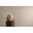 Boost Natural 3D Brushed Ash 50X120 - Atlas Concorde A64T CERAMICHE ATLAS CONCORDE - 1