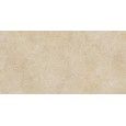 ARGENT MIELE AJUSTEE 30X60cm - Ragno R9JF RAGNO  - 1