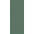 LILYSUITE GREEN 50x120 Ajustee -Marca Corona  I360 CERAMICHE MARCA CORONA  - 1