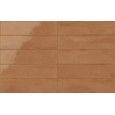 ELEMENTI cotto glossy 30X7,5 - IRIS CERAMICA 537010 IRIS CERAMICA - 1