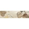 FG FORESTE D'ITALIA  (PLUS) FI10 FOLIAGE 20X80 - Del Conca 27FI10FOJ DEL CONCA - 1