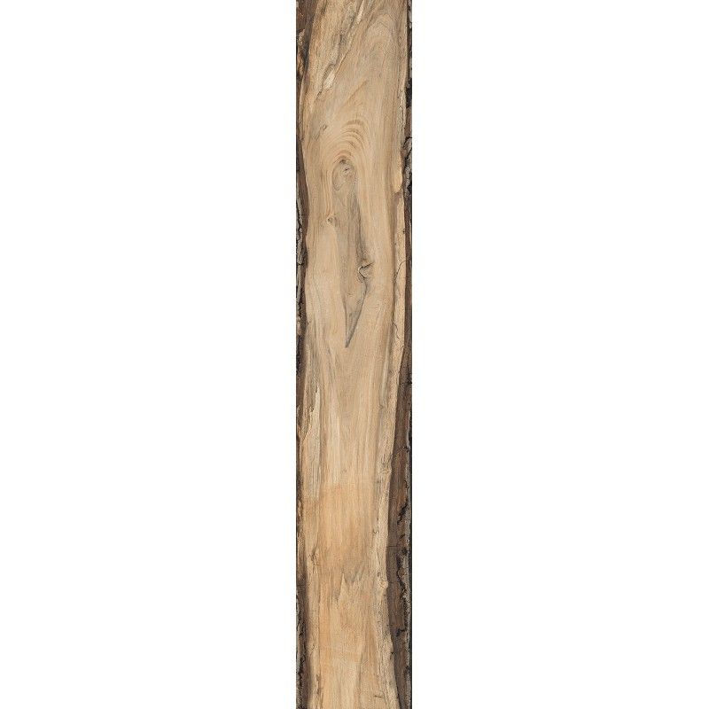 SHERWOOD OAK  15x100 -  J90495 Ceramiche Rondine CERAMICA RONDINE - 1
