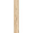 SHERWOOD MAPLE TENDINA  24x150 -  J91132 Ceramiche Rondine CERAMICA RONDINE - 1