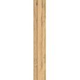 TIMELESS HONEY TENDINA  24x150 -  J89659 Ceramiche Rondine CERAMICA RONDINE - 1