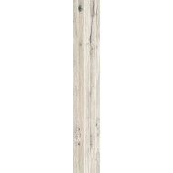 TIMELESS IVORY TENDINA  24x150 -  J89660 Ceramiche Rondine CERAMICA RONDINE - 1