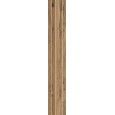 TIMELESS NUT TENDINA  24x150 -  J89661 Ceramiche Rondine CERAMICA RONDINE - 1