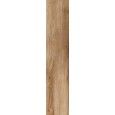 DARING NUT STRONG  15x61 -  J88813 Ceramiche Rondine CERAMICA RONDINE - 1