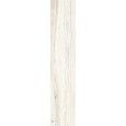 DARING IVORY  15x61 -  J88431 Ceramiche Rondine CERAMICA RONDINE - 1