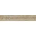 BRICOLA MIELE 20 AJUSTEE  20x120 -  J85988 Ceramiche Rondine CERAMICA RONDINE - 1