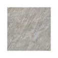 COSMOS OSSIDO 30x60 - SAIME 7679301