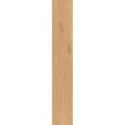 Entice Pale Oak Natural  18,5x150 - Atlas Concorde A8X6 CERAMICHE ATLAS CONCORDE - 1