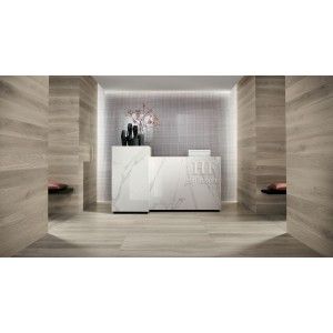 FAPNEST 20X120 SILVER MATT AJUSTEE - fNZZ Fap Ceramiche FAP CERAMICHE - 1
