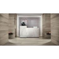 FAPNEST 20X120 SILVER MATT REKTIFIZIERT - fNZZ Fap Ceramiche FAP CERAMICHE - 1