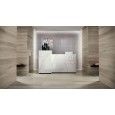 FAPNEST 20X120 SILVER OUT Rettificato - fOAC Fap Ceramiche FAP CERAMICHE - 1