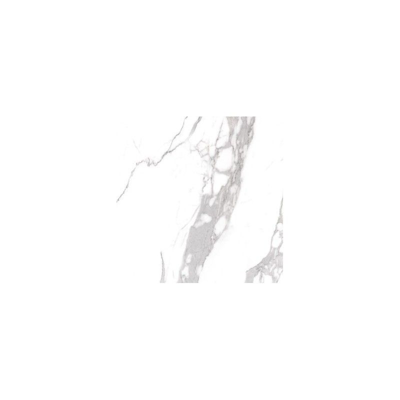 Omnia Statuario Safe 60x120 - CERDOMUS 88937