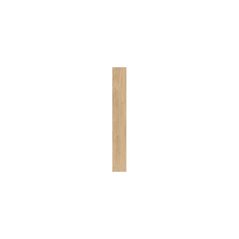DAMA miele 20x150  Lisse Naturel Rectifié - LA FAENZA DAMA6 2015HY RM LA FAENZA - 1