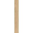 DAMA miele 20x150  Lisse Naturel Rectifié - LA FAENZA DAMA6 2015HY RM LA FAENZA - 1