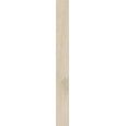 ELIXIR Fondo 5x49 Almond Liscio - Ceramica d'Imola ELXR6 549A RM CERAMICA D'IMOLA - 1