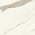 Marvel X Calacatta Sublime 60x60 Gelaeppt  - Atlas Concorde AFVZ CERAMICHE ATLAS CONCORDE - 1