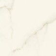 Marvel X Calacatta Apuano 60x60 Gelaeppt  - Atlas Concorde AFVY CERAMICHE ATLAS CONCORDE - 1