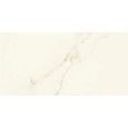 Marvel X Calacatta Apuano 30x60 Matt   - Atlas Concorde AFWD CERAMICHE ATLAS CONCORDE - 1
