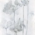 PAPIER MIX ESPOIR FROID LUCIDA SQ 120X278 6mm   - MIRAGE BDK0 MIRAGE - 1
