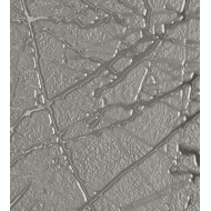 REFLET SOIRÈE 01 GESTOCKT 20X60 - MIRAGE BGJ6 MIRAGE - 1