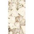 MARMI MAXFINE patagonia PRE-POLISHED RECTIFIED  75X37,5 - FMG IRIS P737606MF6 FMG IRIS - 1