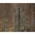 CAST IRON OXIDUM NATURAL 59,55X119,30 - Apavisa APAVISA - 1