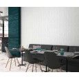 ELEMENTS WHITE FRAME MATT 44,63X119,30 - Apavisa APAVISA - 1